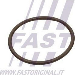 Fast FT49933