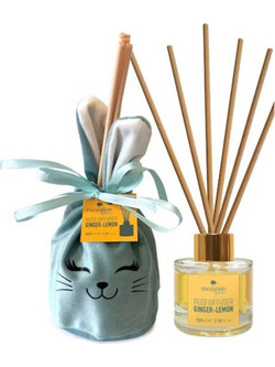 Messinian Spa Reed Diffuser Ginger-Lemon Αρωματικό Χώρου Με Stick Διάχυσης 100ml
