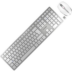 Cherry DW 9100 Silver Ασύρματο Σετ Πληκτρολόγιο & Ποντίκι