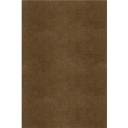 Χαλί Graccioza Plain - Camel 200x300 εκ