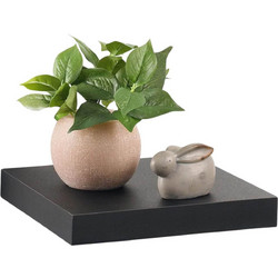 Ράφι Τοίχου MDF Floating Homea 25x22,8 cm 6RAN790NR - Μαύρο (0027958)