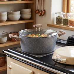 ΚΑΤΣΑΡΌΛΕΣ POT+LID FORGED ALU NATURE FIVE 28CM 111009A