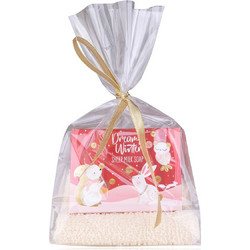 Accentra Dreamy Winter Soap 100gr + Glove