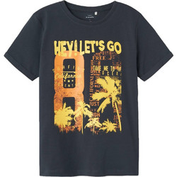 Name It Παιδικό T-Shirt Κοντομάνικο Ανθρακί 13227472