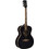 Eko Guitars NXT A100 See Through Black