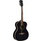 Eko Guitars NXT A100 See Through Black
