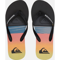 Quiksilver Molokai Panel Ανδρικές Σαγιονάρες Αντιολισθητικές Πολύχρωμες AQYL101263-KVJ1