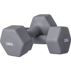 Sportnow Σετ Βαράκια Εξάγωνα Πλαστικοποιημένα 2x10kg