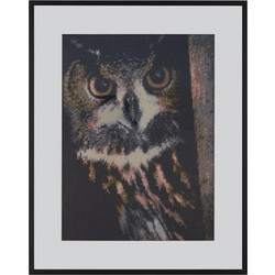 Craft Sensations Owl Καμβάς Diamond Painting Kit 50x40cm CR2020-21GE