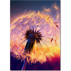 Dandelion Καμβάς Diamond Painting Kit 40x30cm 56100000