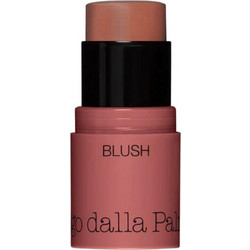 Diego Dalla Palma All in One Blush 44 Biscotto Stick Blush