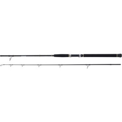 WFT Sea Dart Special Fjord 12lbs Καλάμι Ψαρέματος για Μολύβι Φύλακας / Slow Jigging Carbon Δίσπαστο 2.1m 20-160gr