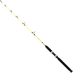 Carson Andorra Boat Party Καλάμι Ψαρέματος για Καθετή 1.2m 50-100gr