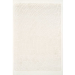 Ezzo Pavia Χαλί Ορθογώνιο 160x230cm F045A3R Cream