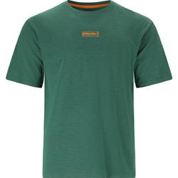 Whistler Ανδρικό Αθλητικό T-Shirt Πράσινο W261241-3175