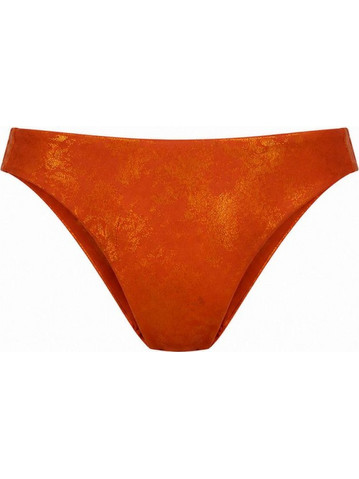 Bluepoint Reflection Bikini Slip Rusted 26065007-49