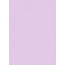 Canson Colorline Χαρτόνι Κανσόν Λιλά 50x70cm 105741157