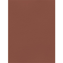 Favini Χαρτόνι Κανσόν Καφέ 70x100cm 831.70100.11T