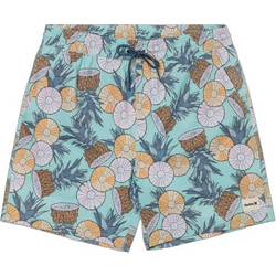 Hurley Ανδρικό Μαγιό Σορτς με Σχέδια Βεραμάν MBS0011880-363
