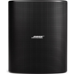 Bose Professional DesignMax DM12SE