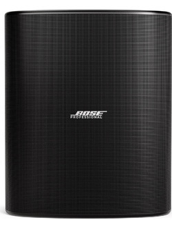 Bose Professional DesignMax DM12SE