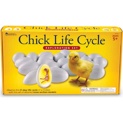 Learning Resources Chick Life Cycle Exploration Set