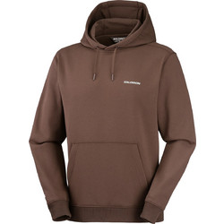 Salomon Logo Hooded Sweatshirt Ανδρικό Αθλητικό Φούτερ με Κουκούλα Καφέ LC3017000