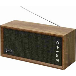 Dynavox FMP3 BT Wooden