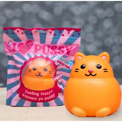 Boxer Gifts Γάτα Squishy Πορτοκαλί