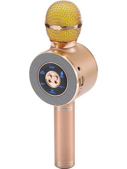 Wster WS-668 Ασύρματο Μικρόφωνο Καραόκε Ροζ Χρυσό
