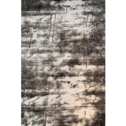 Sprintzio Χαλί Ορθογώνιο 160x230cm Feshane 9676 Grey