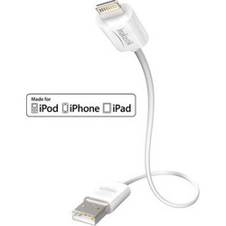 Inakustik 00440201 Premium Apple Lightning σε usb - 1m