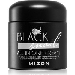 Mizon Black Snail All In One Cream 75ml