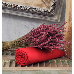 Cokitex Σεντόνι Διπλό με Λάστιχο 150x200+25 Angel Red