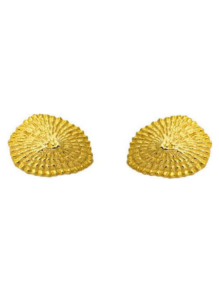 Σκουλαρίκια Limpet Gold
