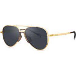 Bolon BL1002 C60 Γυαλιά Ηλίου Aviator Μεταλλικά Χρυσά με Μαύρο Polarized Φακό