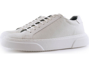 Fentini Ανδρικά Sneakers Λευκά 306-2086