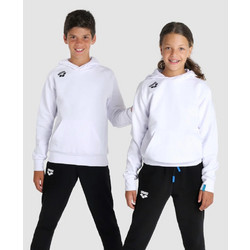 Arena Team Hooded Sweat Panel Ανδρικό Αθλητικό Φούτερ με Κουκούλα Γκρι 004904-550