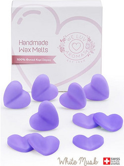 Χειροποίητα Wax Melts White Musk απο 100% Φυτικό Κερί Σόγιας 10 τεμαχίων