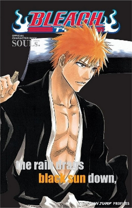 Bleach: Souls, Volume 1