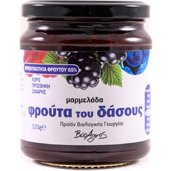 Μαρμελάδα Φρούτα του Δάσους BIO - Βιοαγρός - 320gr