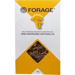 Αποξηράμενο Μανιτάρι Κανθαρέλλα - forage - 20gr