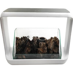 ΚΙΤ ΒΡΑΧΟΚΗΠΟΥ ΜΕ TERRARIUM ZWD-1