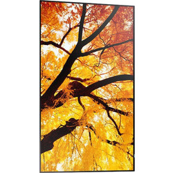 Sharp 60006052 Videowall 32"