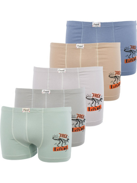 5 Pack αγορίστικα βαμβακερά boxer T-Rex multicolour