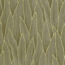 ΤΑΠΕΤΣΑΡΙΑ ΤΟΙΧΟΥ SANSEVIERIA 68087 (10,05μ Ύψος x 0,53μ Πλάτος)