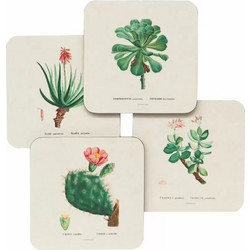 Erik Σουβέρ Botanical Cacti By Kokonote 4 Τεμάχια