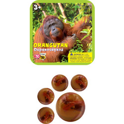 Τρελά Γκαζάκια Ουρακοτάγκος (505901orangutan)