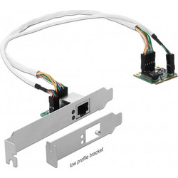 DeLOCK 95265 Ενσύρματη Κάρτα Δικτύου 1Gbps Mini PCI-e