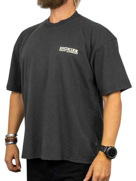 DICKIES M AVONDALE SS T-SHIRT - DK0A8CD4BLK1 GREY